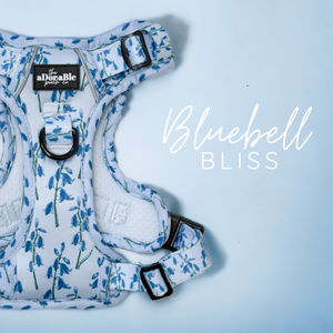 Bluebell Bliss
