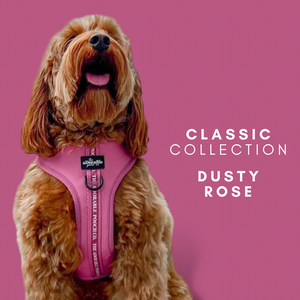 Classic Collection - Dusty Rose