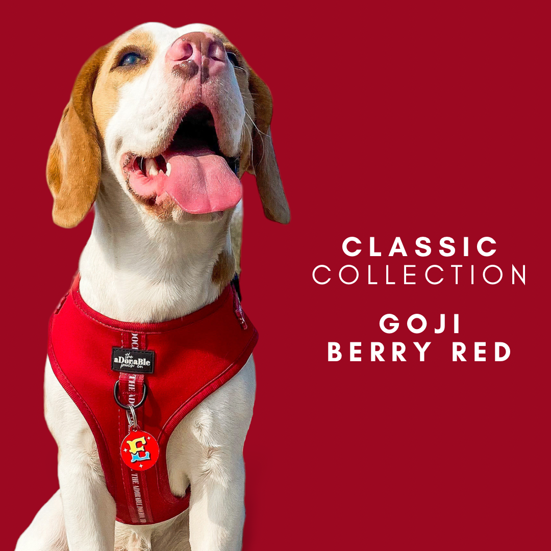 Classic Collection - Goji Berry Red – The aDoraBle Pooch Company