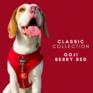 Classic Collection - Goji Berry Red