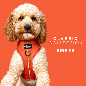 Classic Collection - Ember