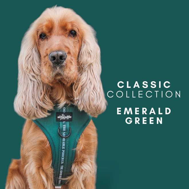Classic Collection - Emerald Green