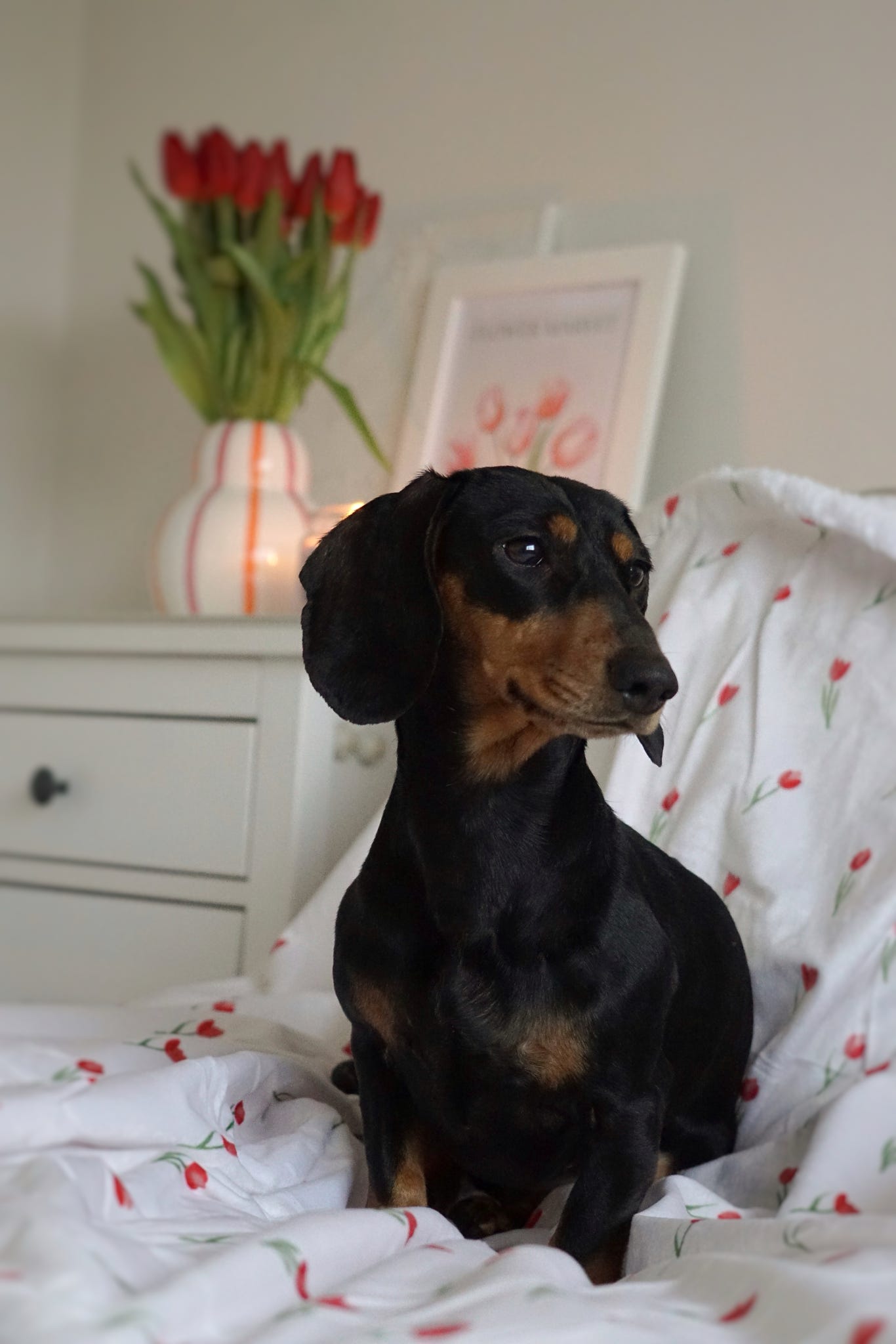 Supersize Soft Blanket - Timeless Tulips