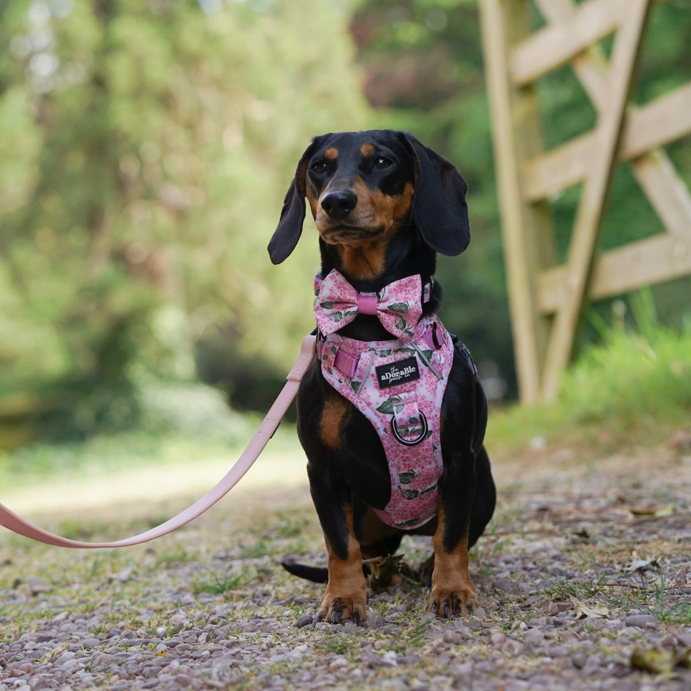 Bow Tie - Hydrangea Garden