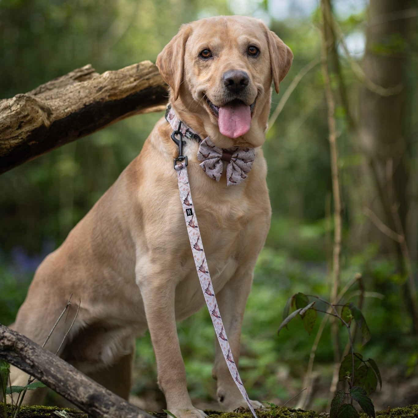 Sailor Bow Tie - Farmland Pheasant