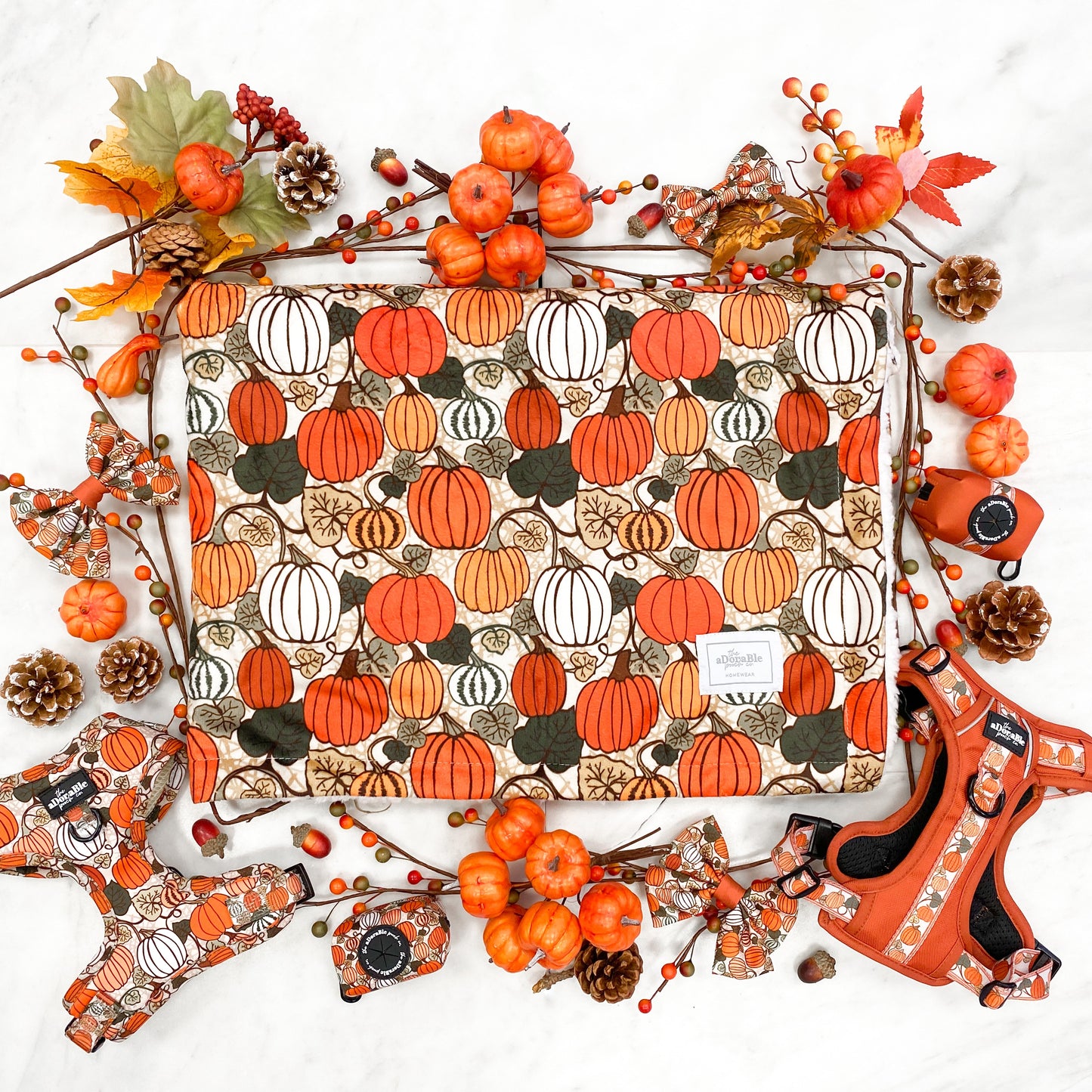 Super Soft Blanket - Pumpkin Patch