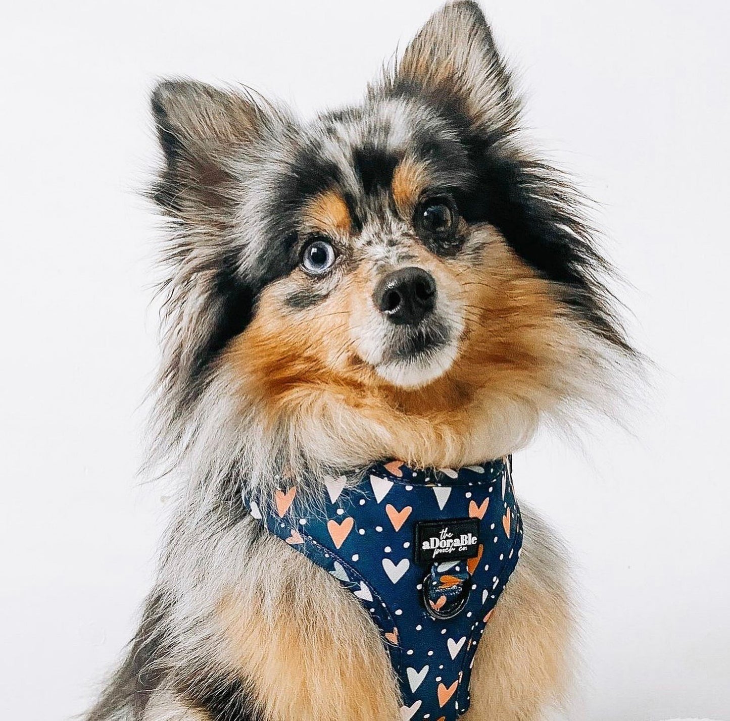 Adjustable Harness - Lots Of Love