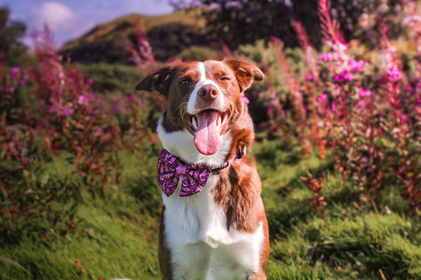 Sailor Bow Tie - Highland Heather