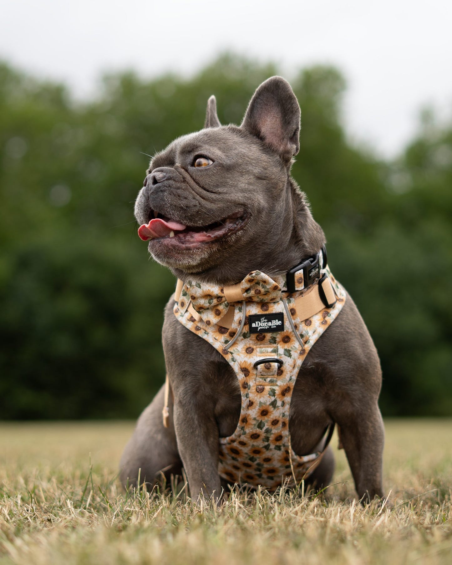 Bow Tie - Sunflower Season