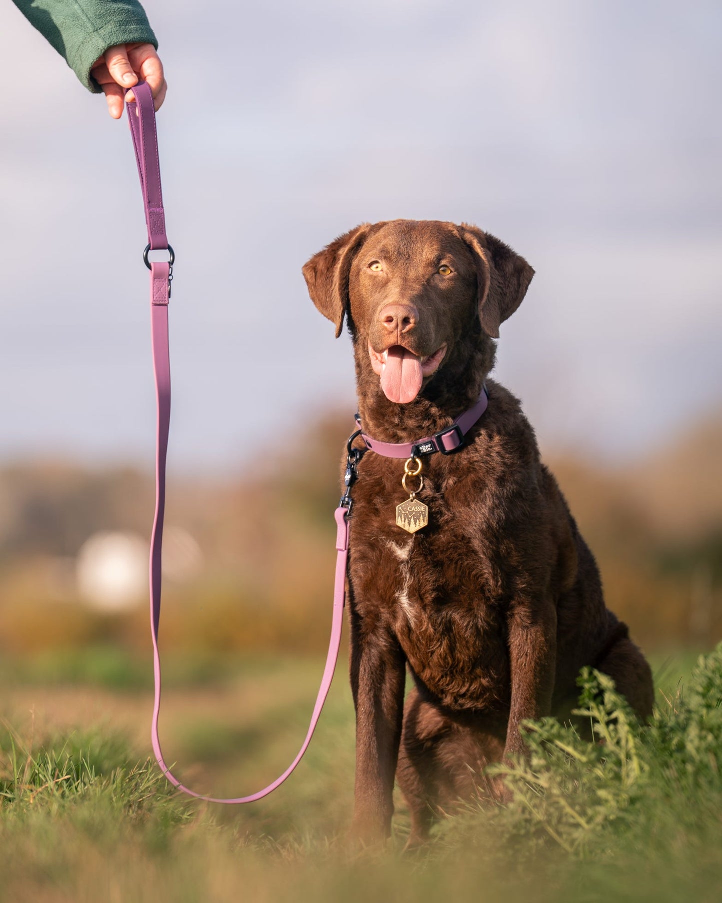 HydroFlex™ Waterproof Dog Lead - Purple Dusk