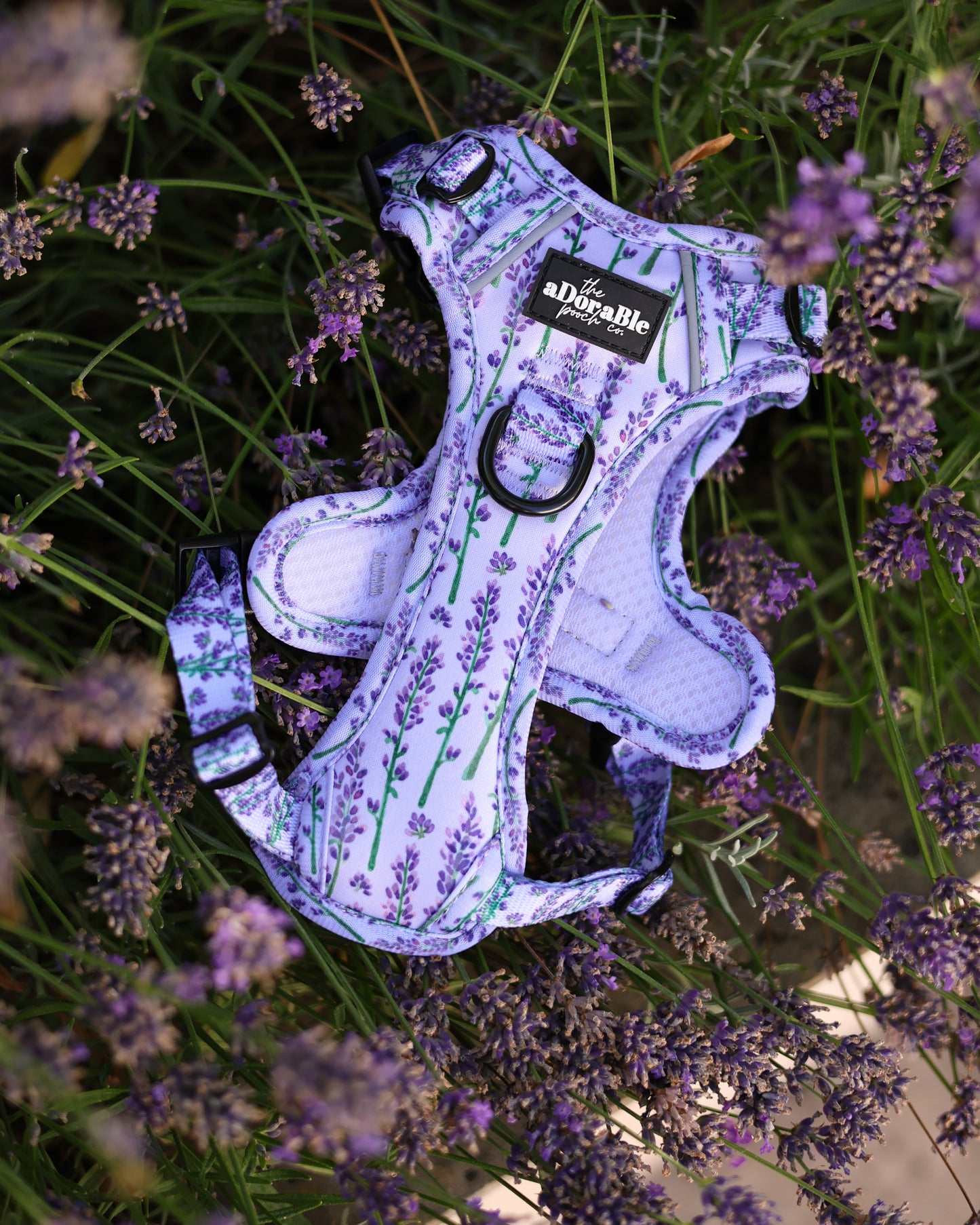 Hike & Go Lite™ Harness - Lavender Haze