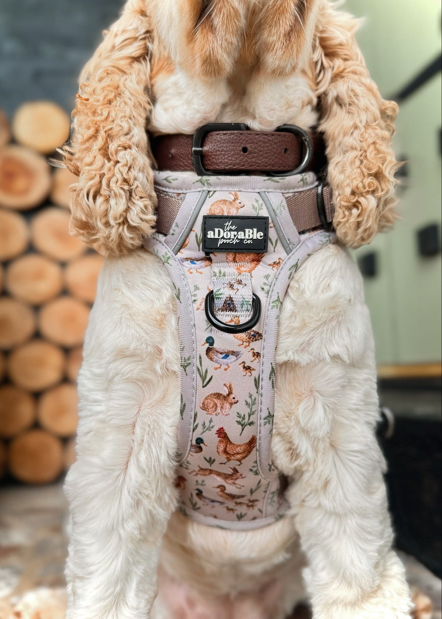 Hike & Go Lite™ Harness - Cotswold Cottage
