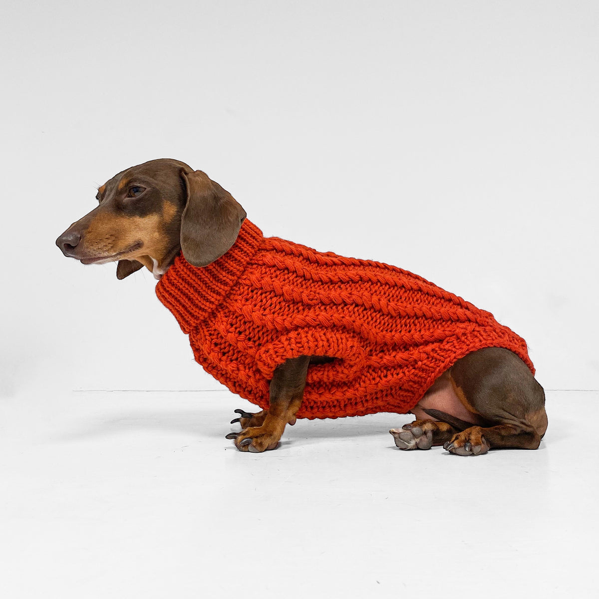 Dachshund sweater knitting pattern sale