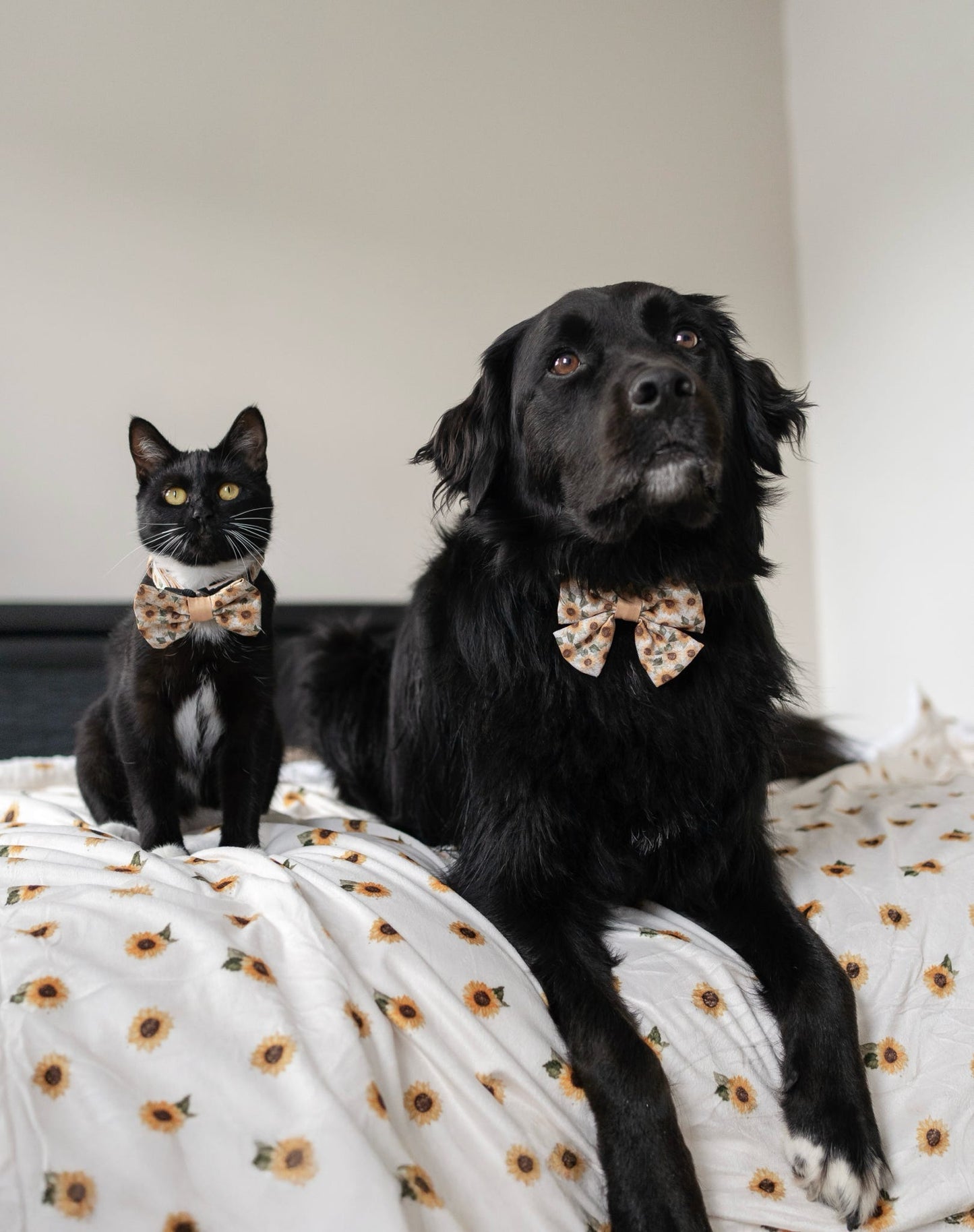 Supersize Soft Blanket - Sunflower Season