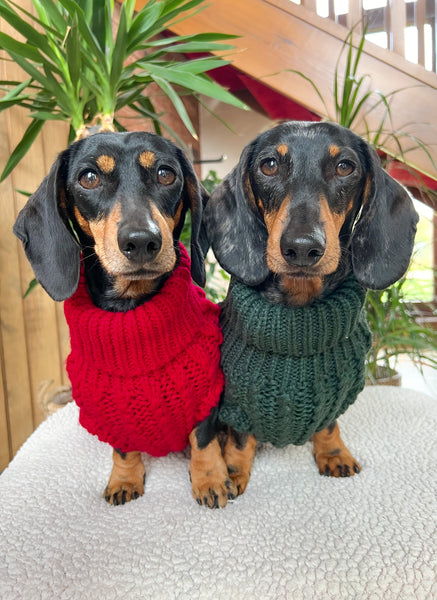 Hand Knitted Dachshund Jumper - Berry Red
