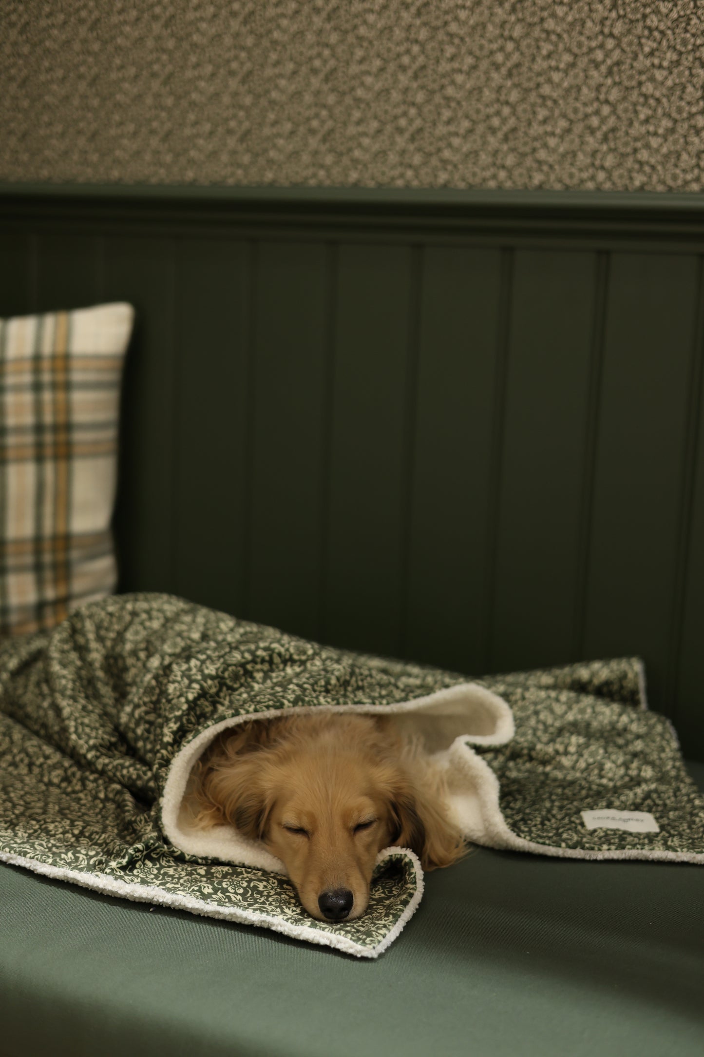 Laura Ashley Dog & Puppy Bed Blanket - Sweet Alyssum