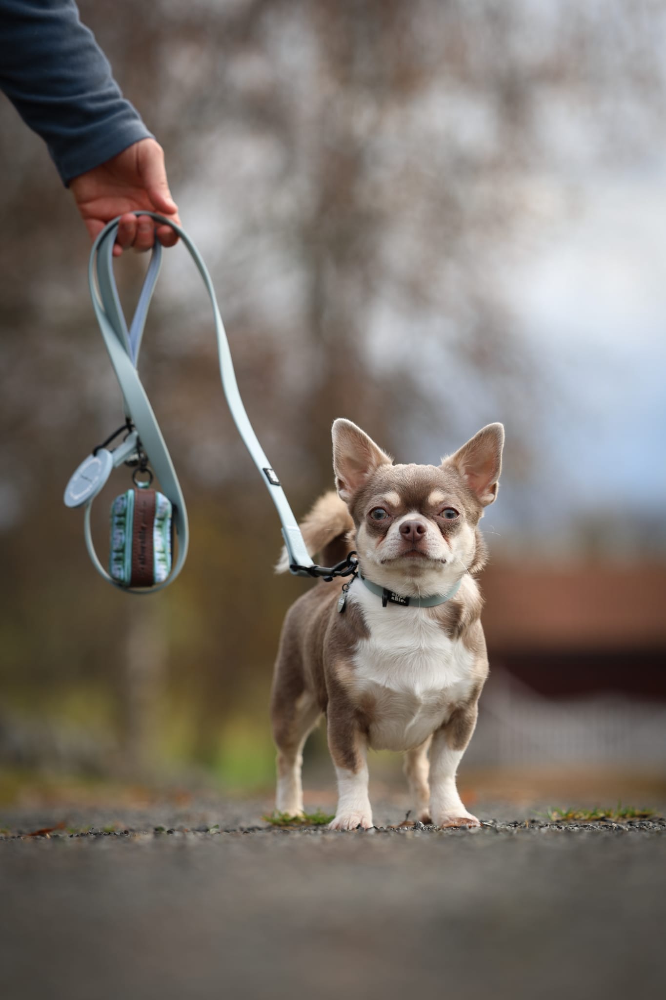 HydroFlex™ Waterproof Dog Lead - Sky Blue