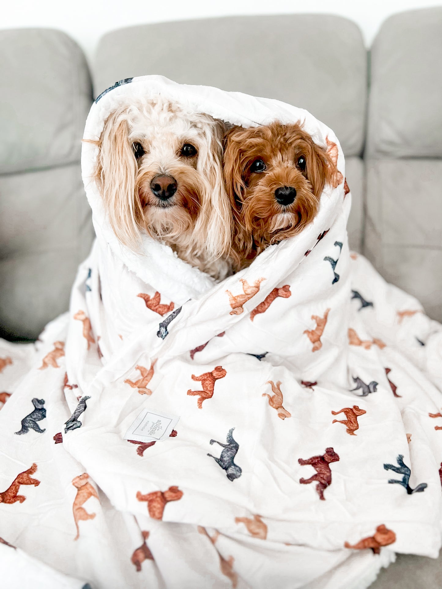Extra Large Dog Breed Blanket - Doodle