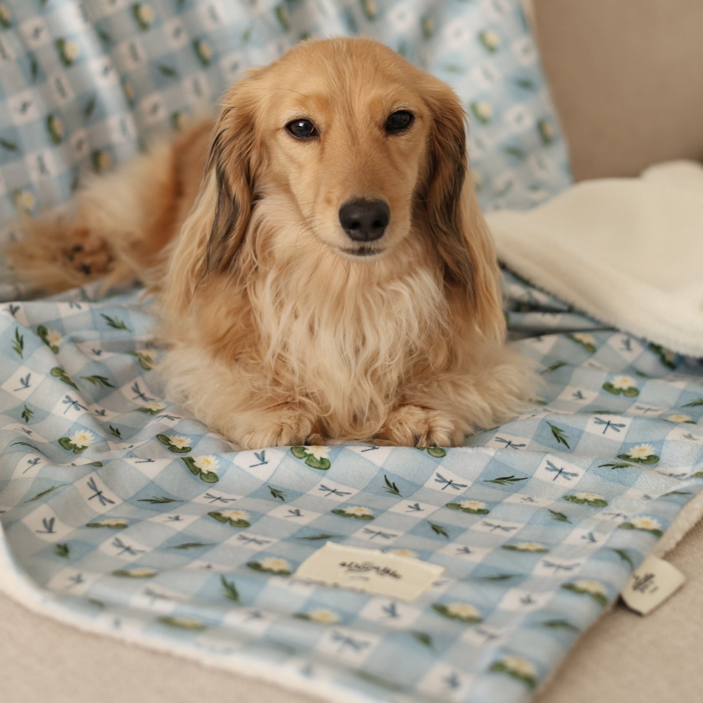 Dog & Puppy Bed Blanket - Willow Waters