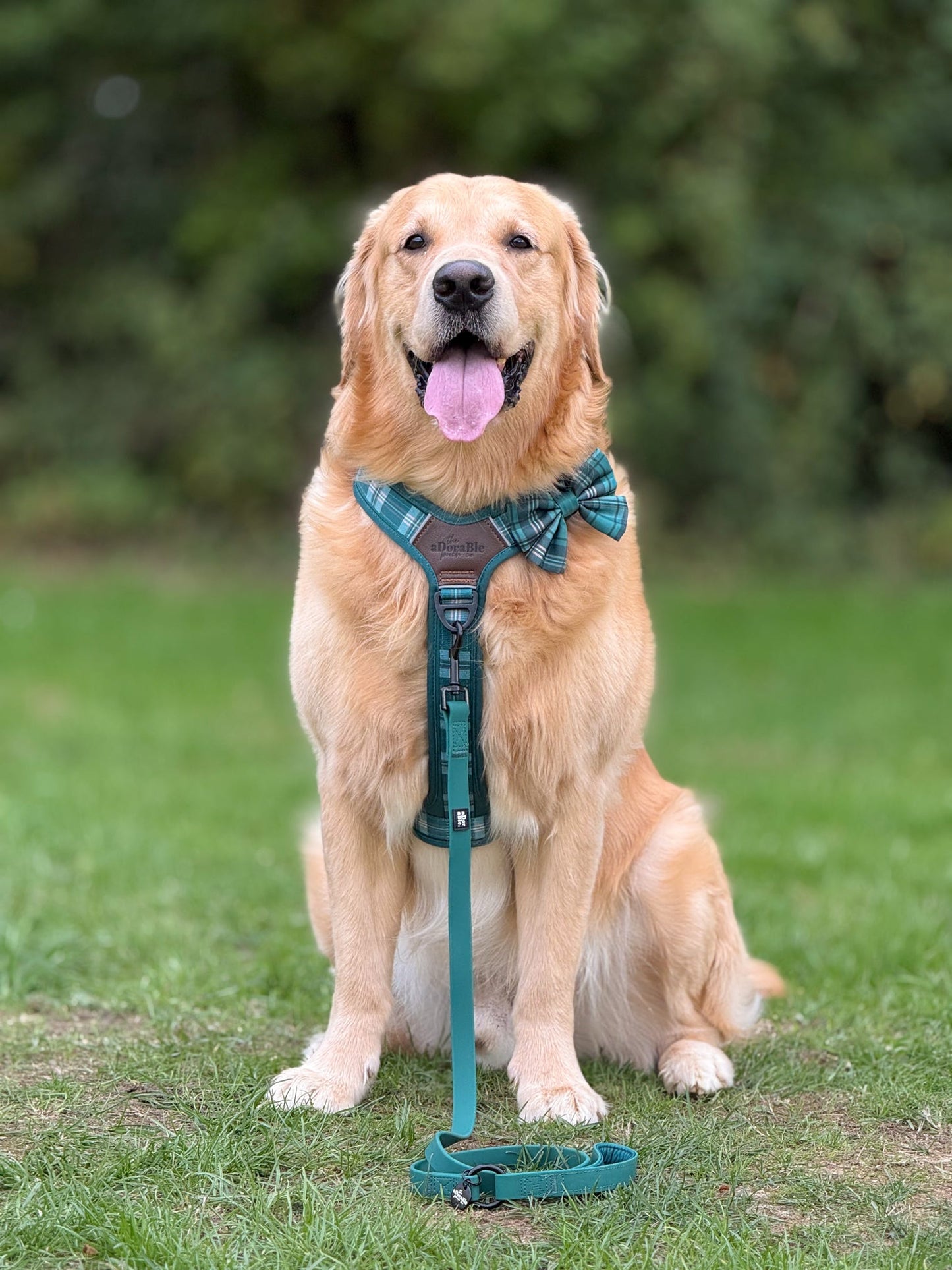 HydroFlex™ Waterproof Dog Lead - Pheasant Green