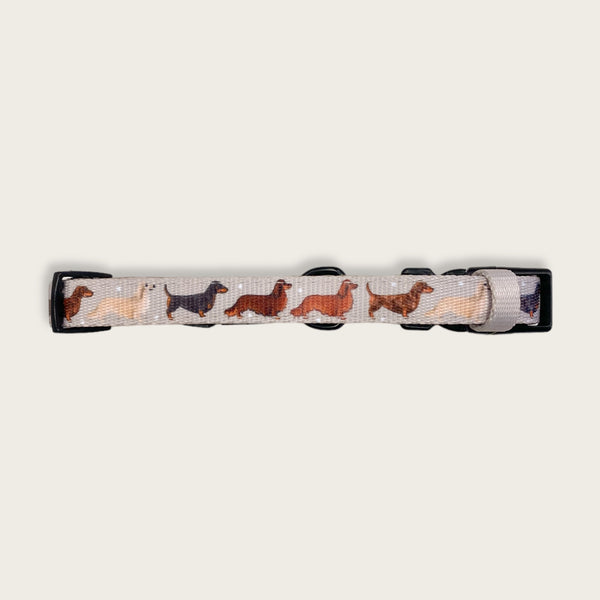 Collar - Watercolour Weenies