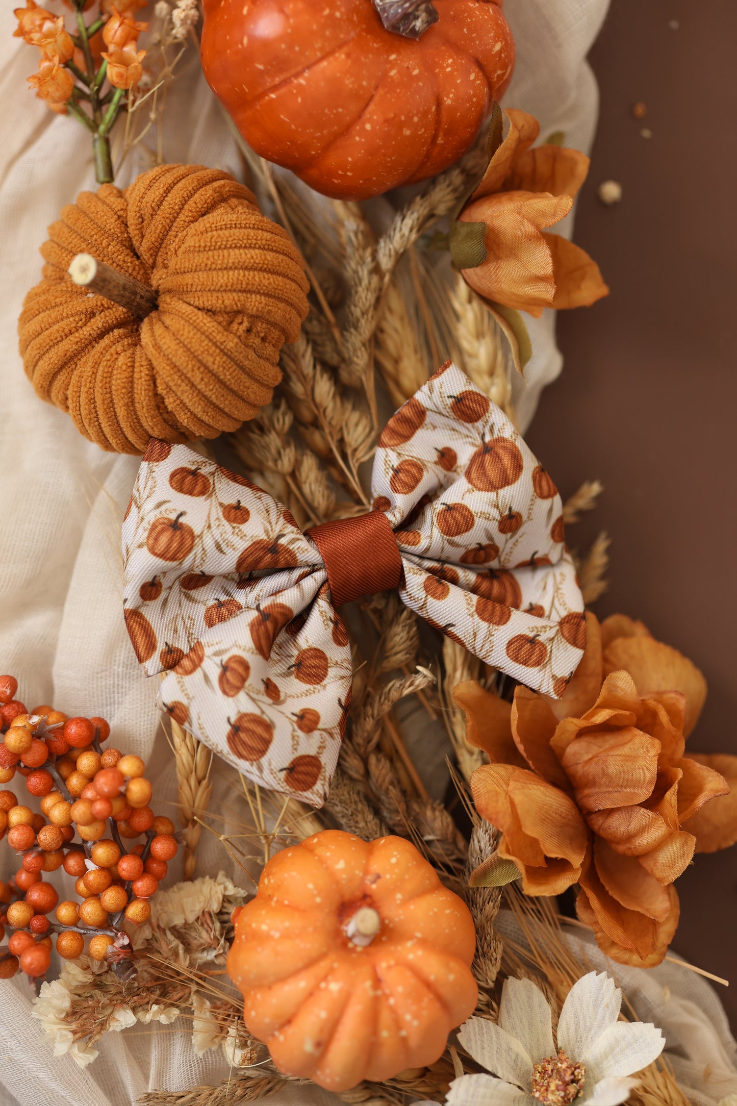 Dog Sailor Bow Tie - Pumpkin Farm