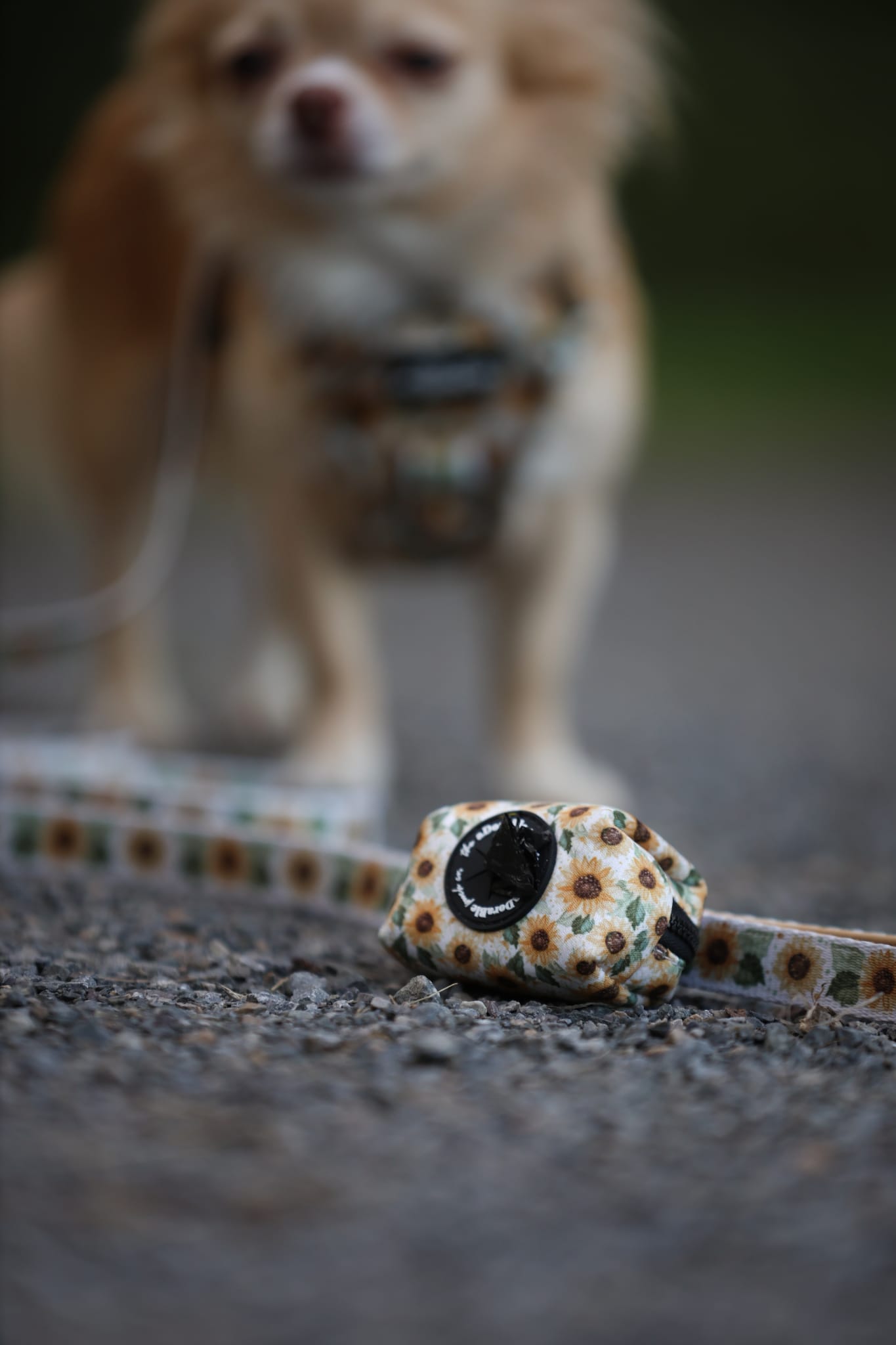 Poop Bag Holder - Sunflower Season