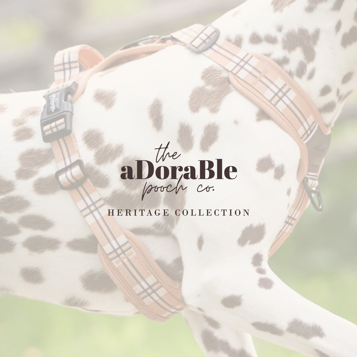 Trade & Wholesale Information Pack
