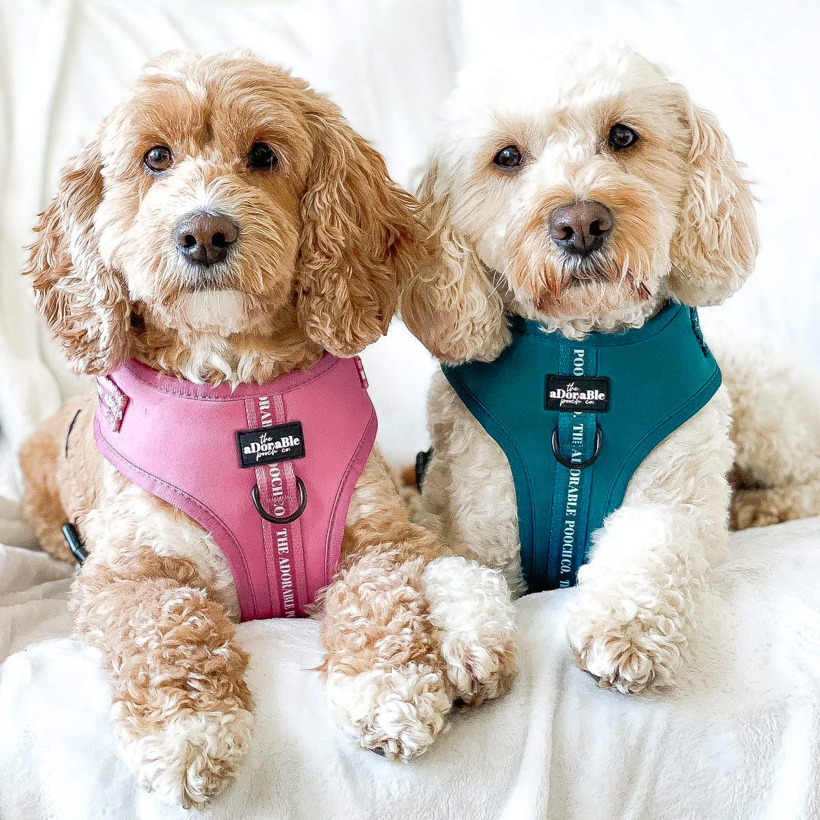 Adjustable Harness - Classic Collection - Dusty Rose - Large