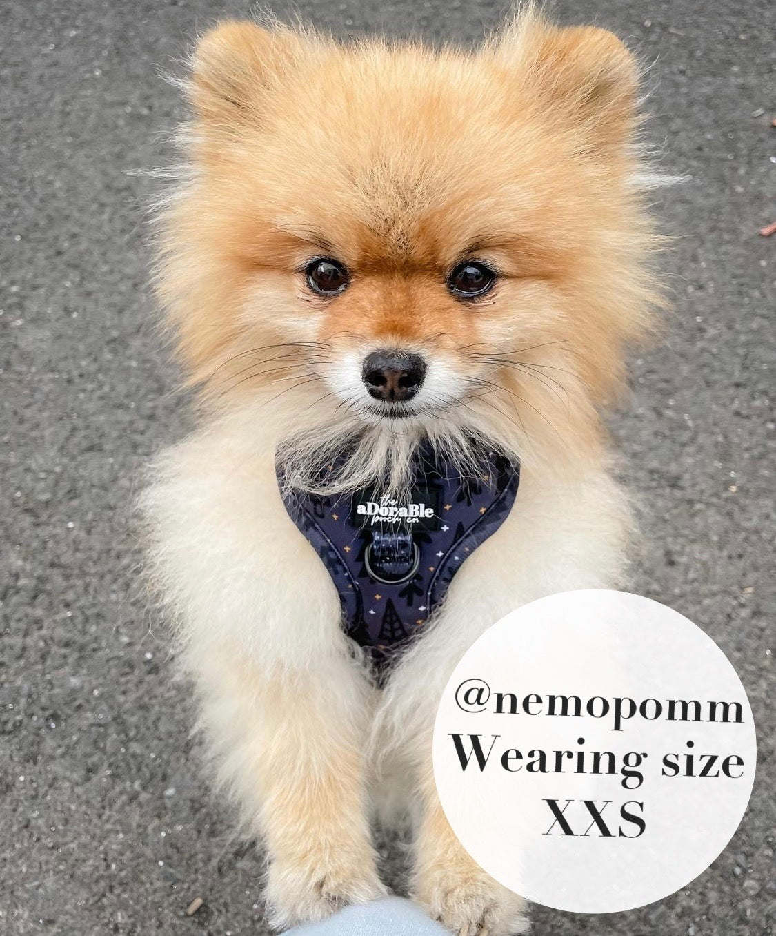 Adjustable Harness - Midnight Forest