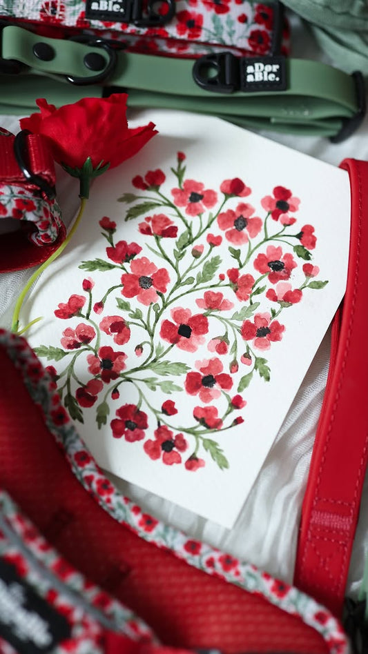 Painted Poppies