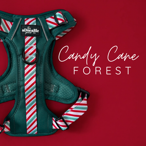 Candy Cane Forest