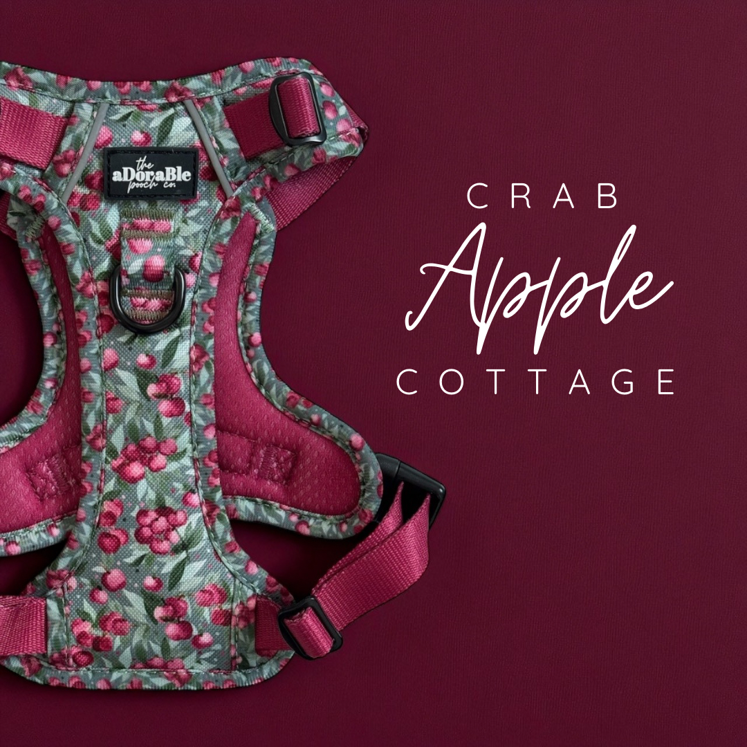 Crab Apple Cottage