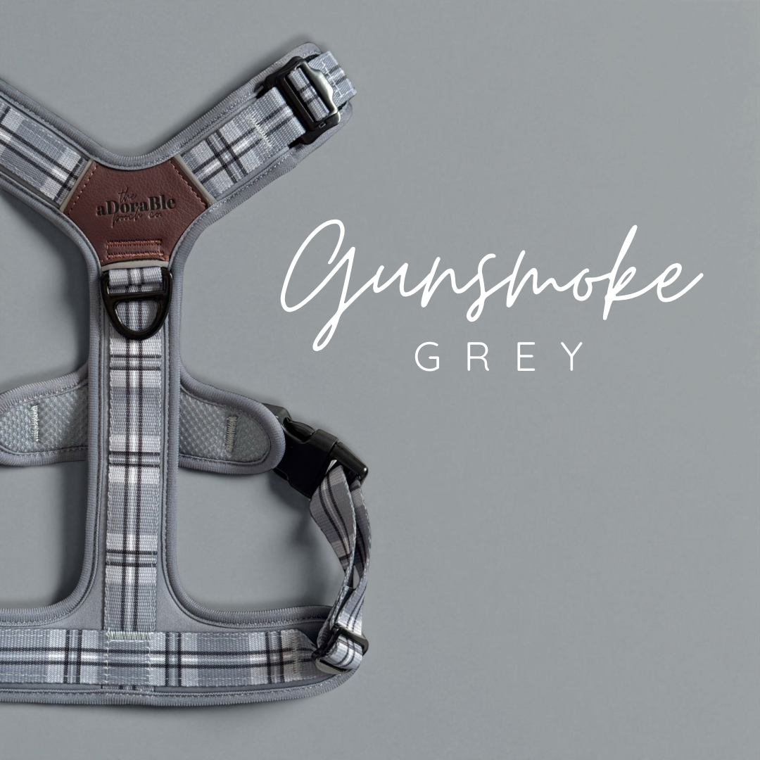 Gunsmoke Grey