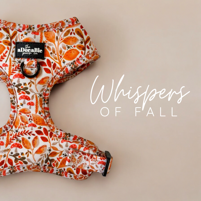 Whispers Of Fall