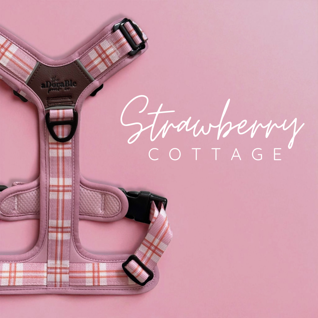 Strawberry Cottage