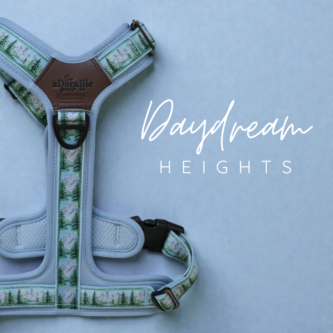Daydream Heights