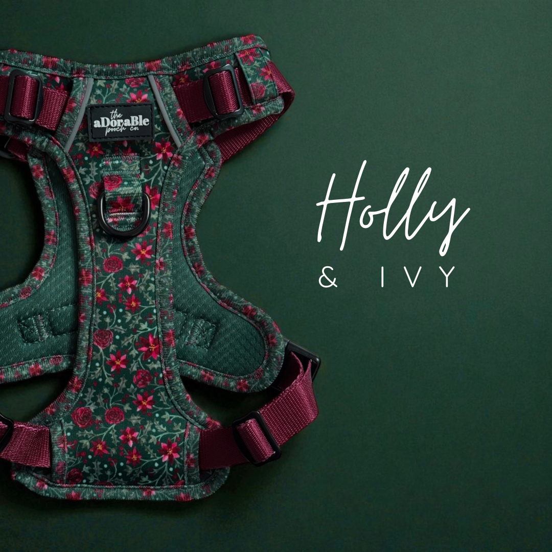 Holly & Ivy