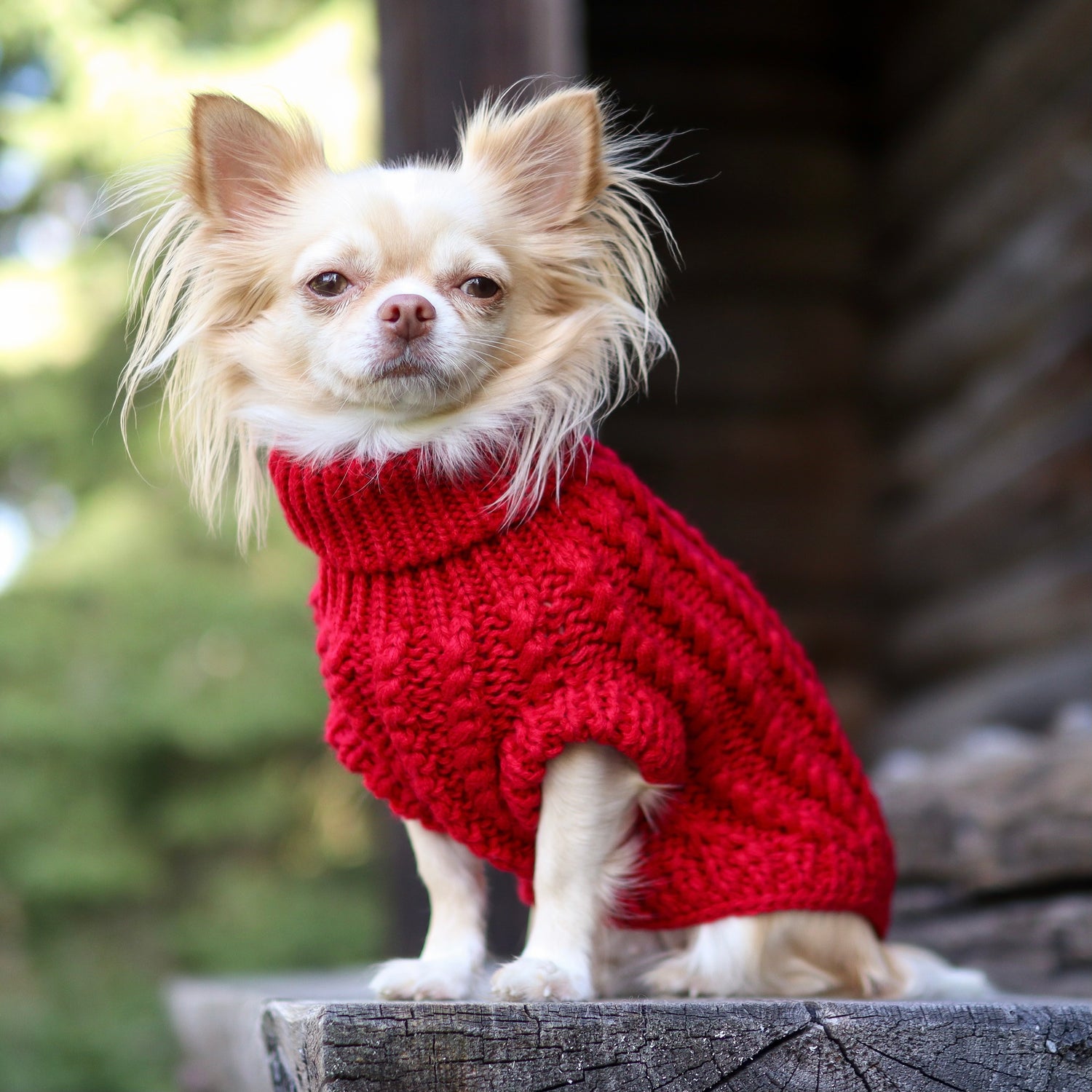 Christmas Knitted Jumpers