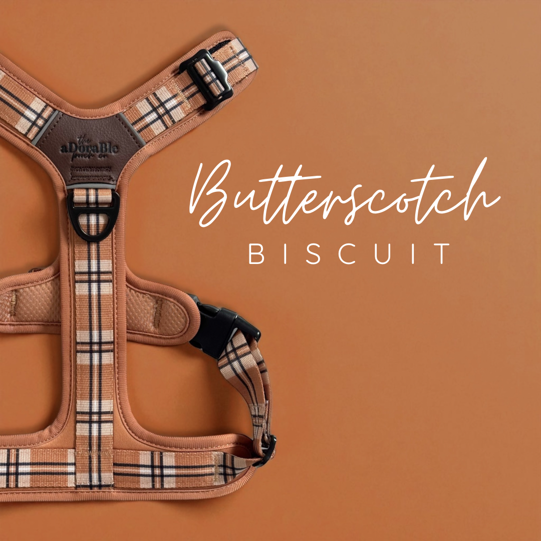 Butterscotch Biscuit