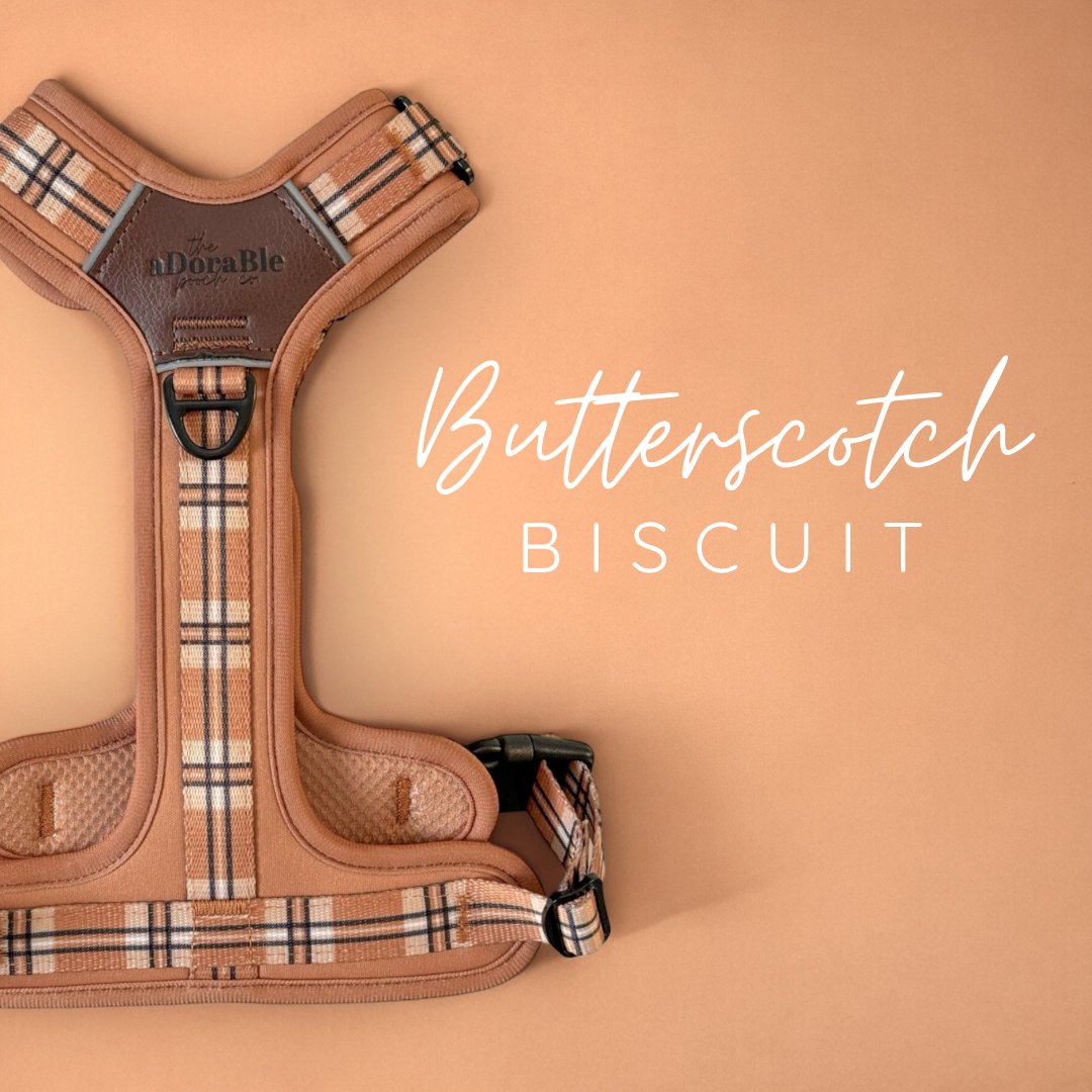 Butterscotch Biscuit