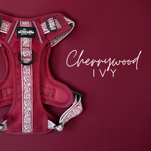 Cherrywood Ivy