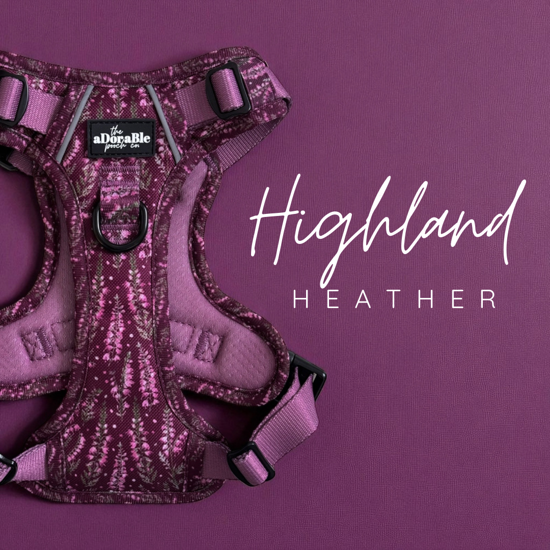 Highland Heather