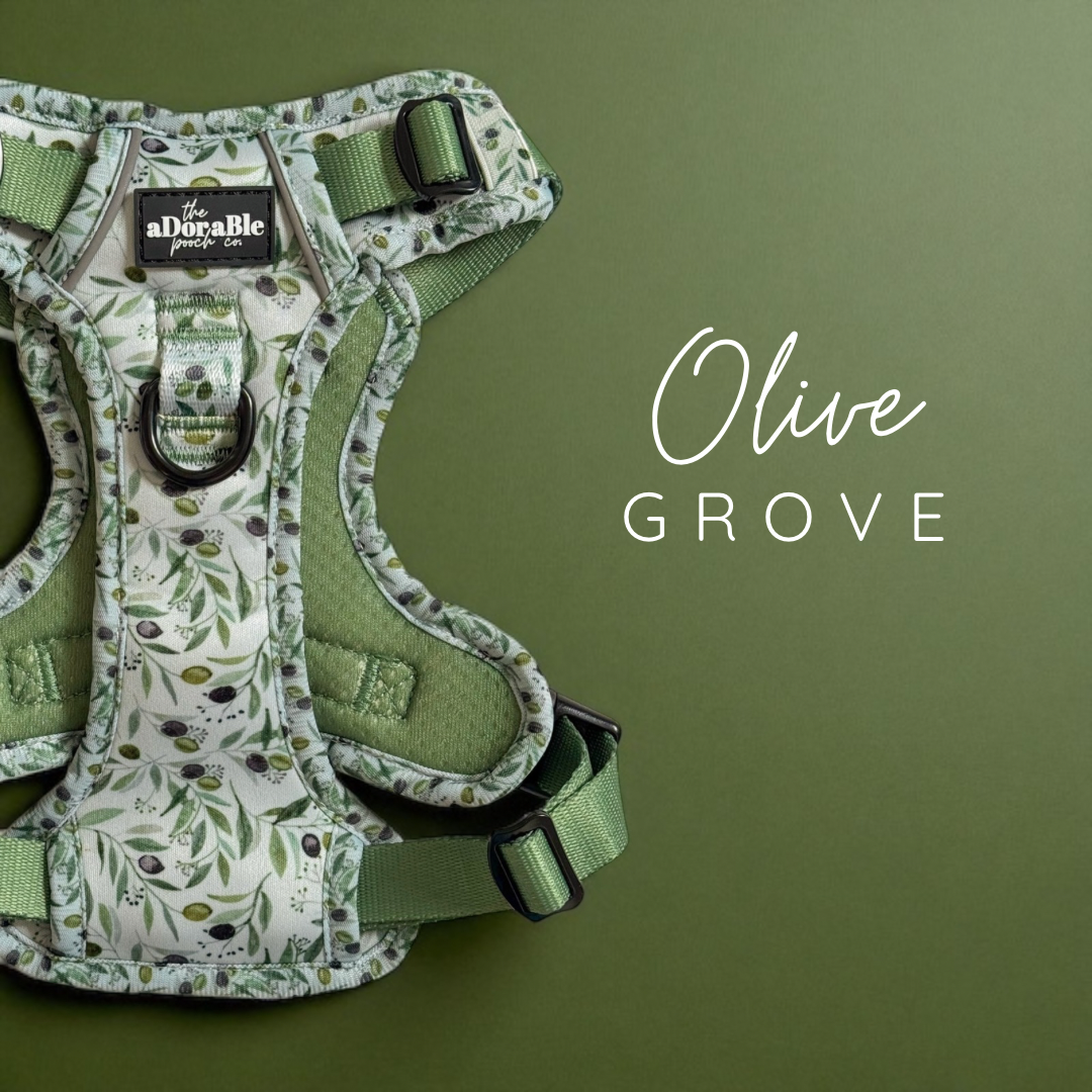 Olive Grove