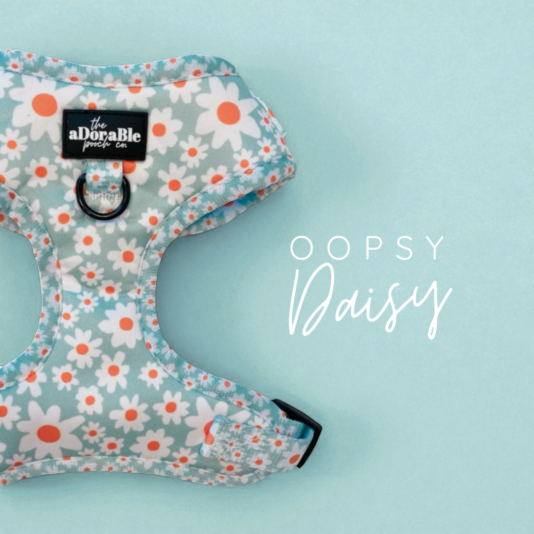 Oopsy Daisy