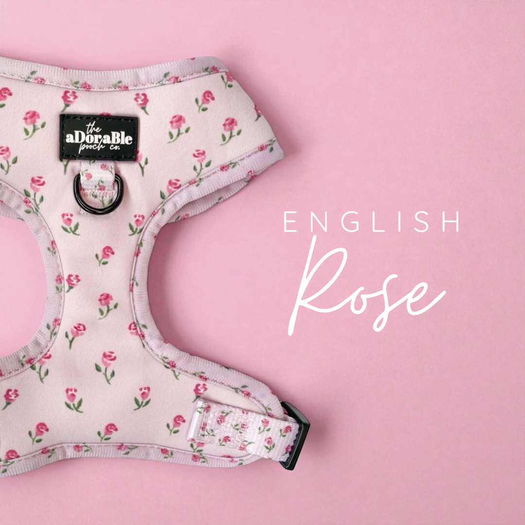 English Rose