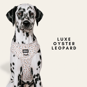 LUXE Oyster Leopard