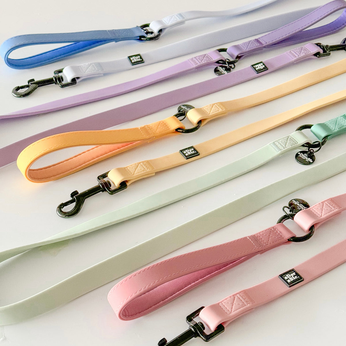 A colourful collection of our Hydroflex™ Waterproof Dog Leads