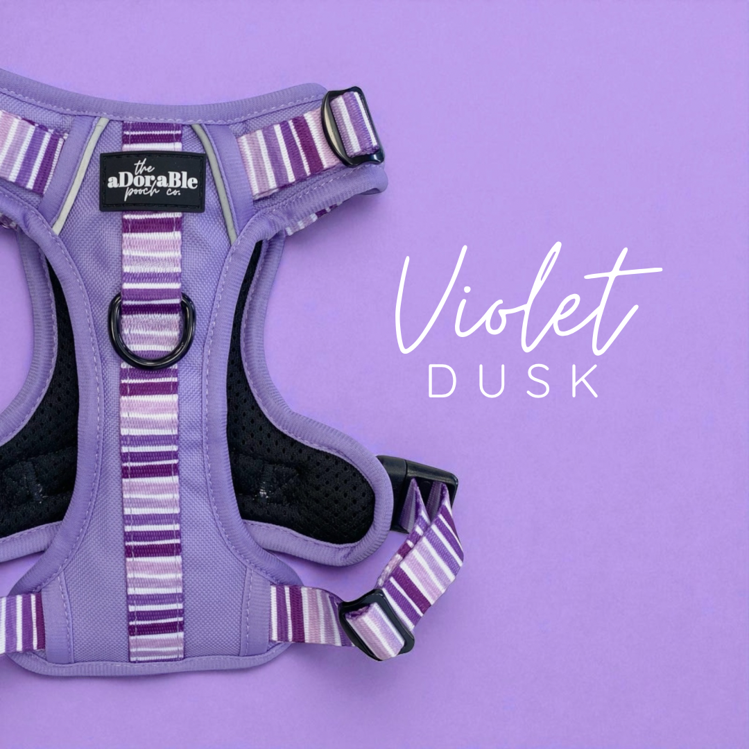Violet Dusk