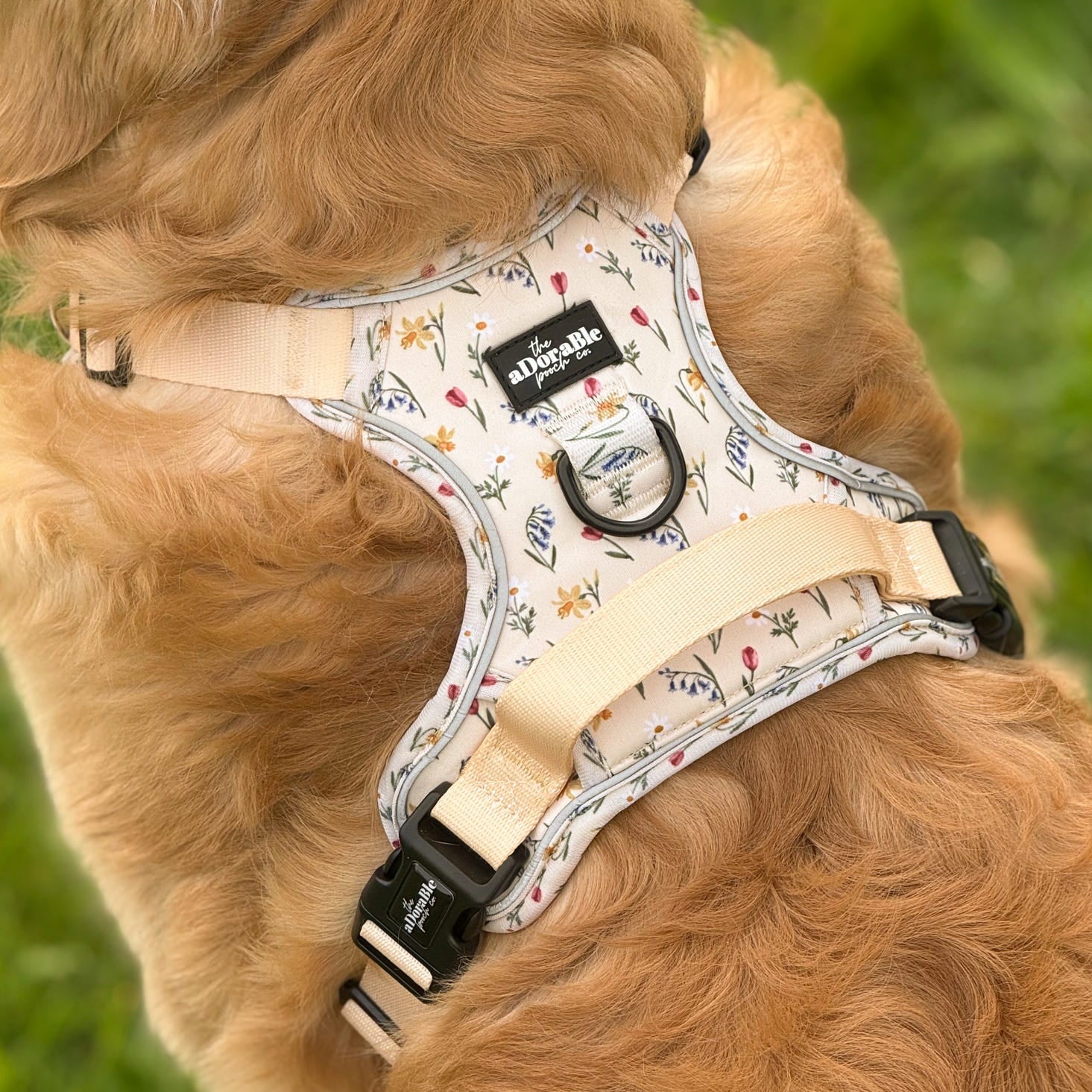 Close up of hike and go harness with owner inserting an Apple Air Tag into the discrete and secure air tag pouch pocket.